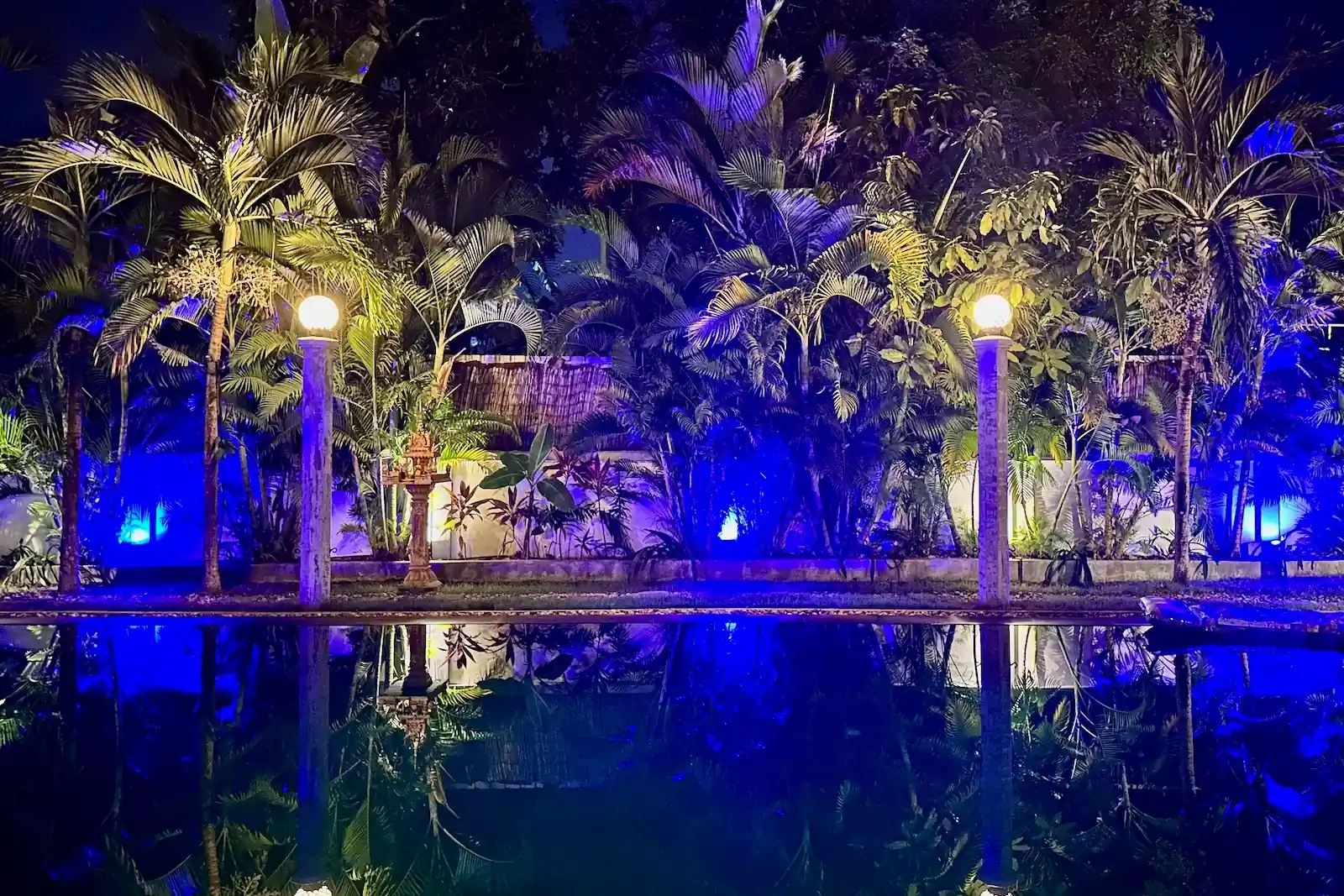 Saralya Pool View Night Cambodia Palm Trees